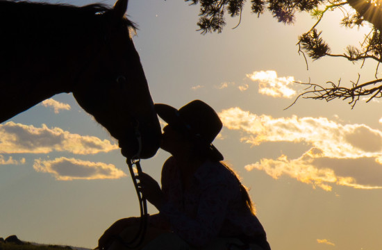 Silhouette of a person kissing the nose of a horse near CM Ranch in Dubois, WY | Wyoming dude ranch