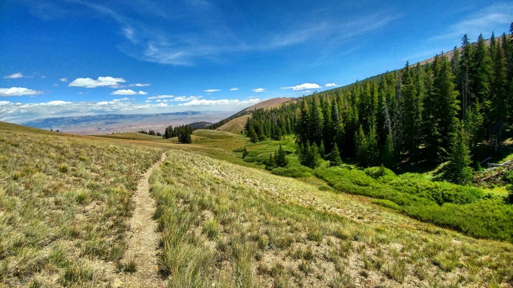 A trail leads down a valley in the mountains near jackson wyoming dude ranch CM Ranch