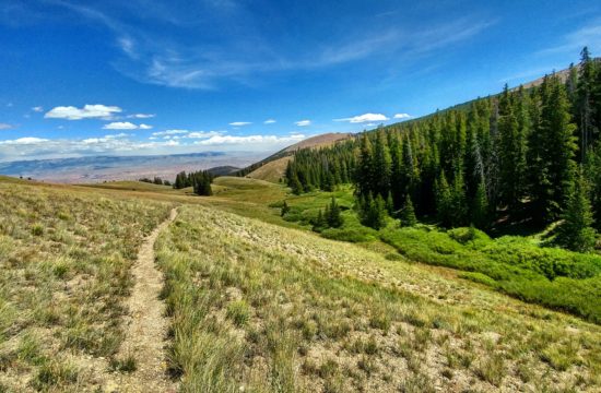 A trail leads down a valley in the mountains near jackson wyoming dude ranch CM Ranch