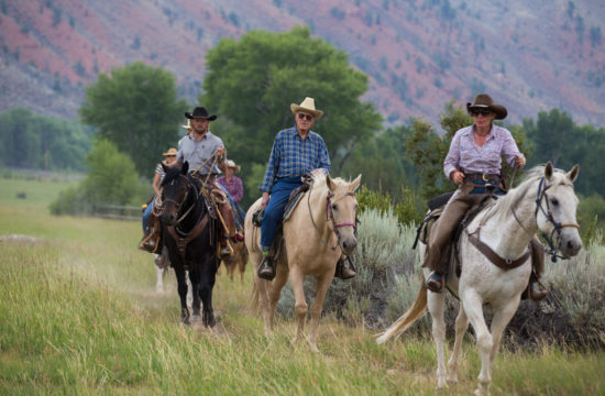 A CM Ranch guide takes guests on horseback out for a trail ride in the mountains near CM Ranch in Dubois, WY | Horseback Riding Jackson Hole
