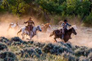 Ranch hands on horseback herd riderless horses near CM Ranch in Dubois, WY | Wyoming dude ranch