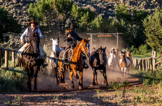 Riders on horsenback herd riderless horses along a train at CM Ranch in Dubois, WY | Wyoming dude ranch