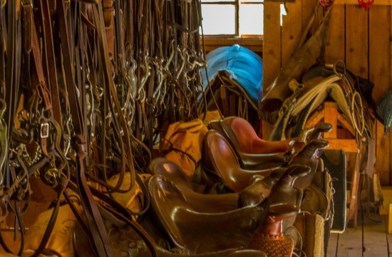 Saddles and tack in a barn at CM Ranch in Dubois, WY | Wyoming dude ranch