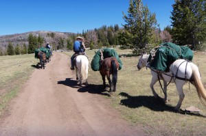 Two men on horseback lead horses on a trail for a pack trip at CM Ranch | Horseback riding Wyoming