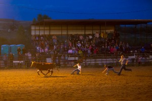 Three men try to rope a steer at a rodeo near CM Ranch in Dubois, WY | cabins in Dubois Wyoming