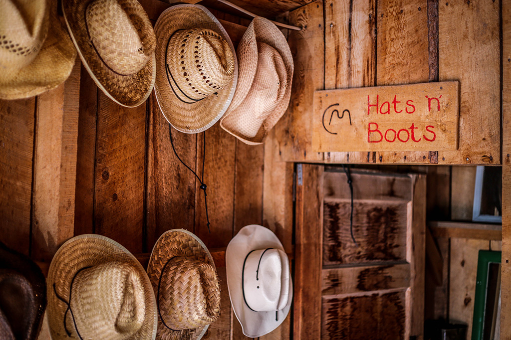 Cowboy Hats hung on a wooden wall near a doorframe at CM Ranch in Dubois, WY | Jackson Hole Wyoming horseback riding